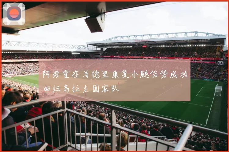 阿劳霍在马德里康复小腿伤势成功回归乌拉圭国家队