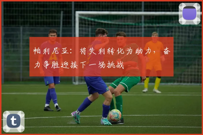 帕利尼亚：将失利转化为动力，奋力争胜迎接下一场挑战